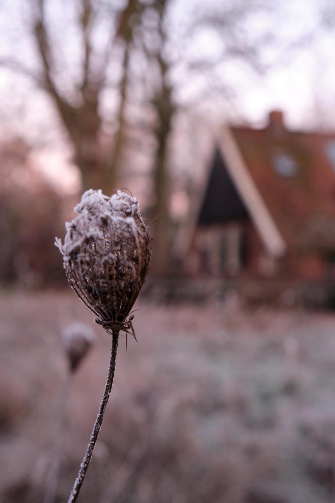 Loosan Lodges Gastenhuis Reutum Exteriér fotografie